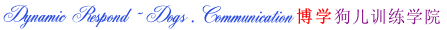 Dynamic Respond ~ Dogs .Communication 博学狗儿训练学院