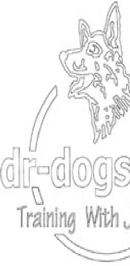 Dr-Dogs Training with Joy & Fun