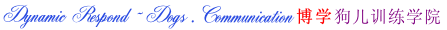 Dynamic Respond ~ Dogs .Communication 博学狗儿训练学院